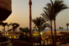 IMG_8390 IMG_8390