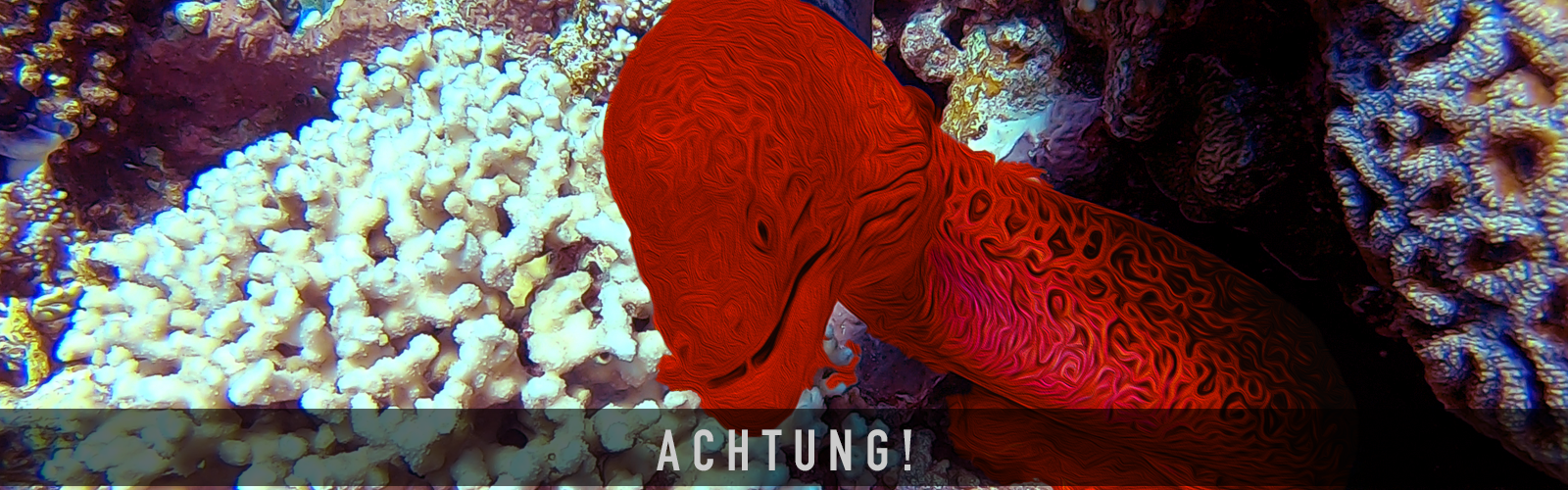 titel-achtung