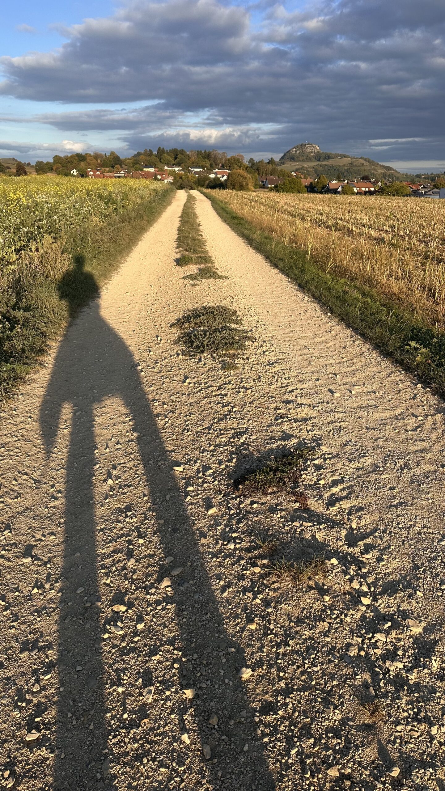 Feldweg in warmer Abendsonne mit Blick in die Landschaft