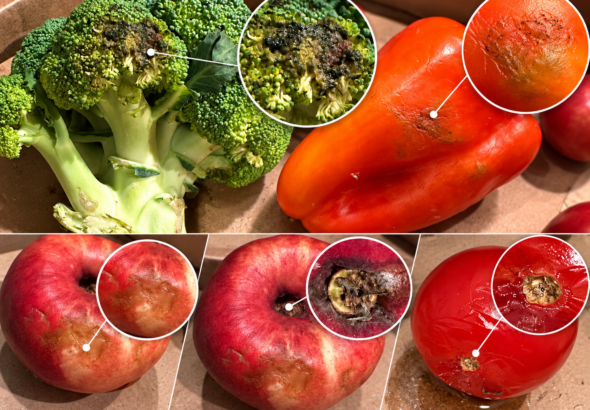 Fotocollage der beanstandeten Obst- und Gemüseartikel mit Detailansichten