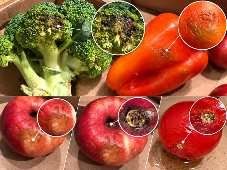 Fotocollage der beanstandeten Obst- und Gemüseartikel mit Detailansichten